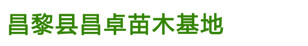 昌黎县昌卓苗木基地 
