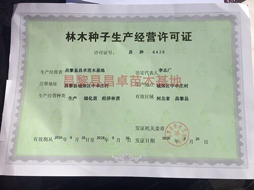 林木种子生产许可证