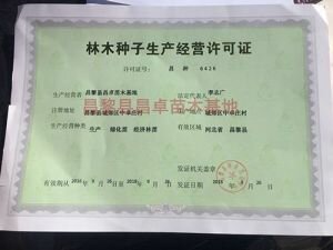 林木种子生产许可证